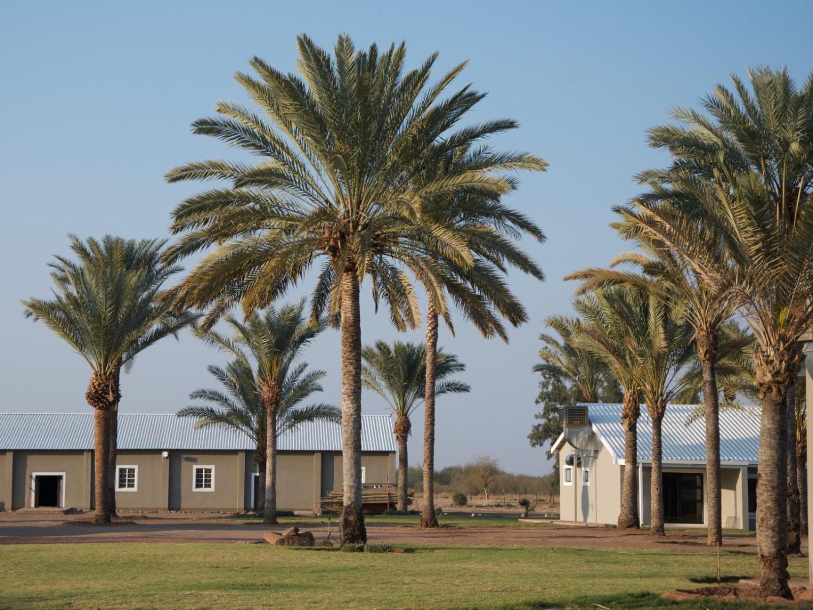 Flying Ostrich Guesthouse & Self-Catering Accommodation Mariental Luaran gambar